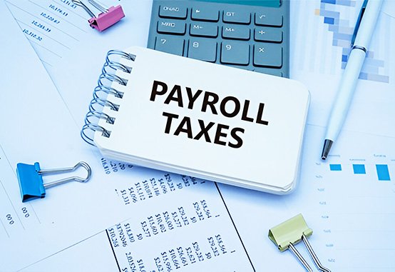 Payroll Registration and Filing Service 2