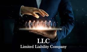 Choosing the Best State to Form Your LLC